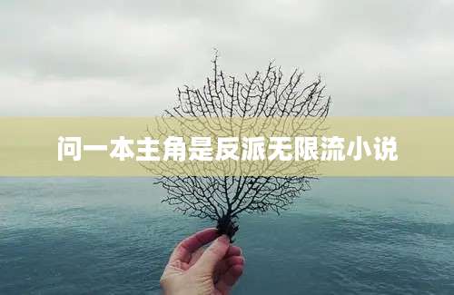 问一本主角是反派无限流小说