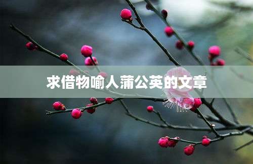 求借物喻人蒲公英的文章