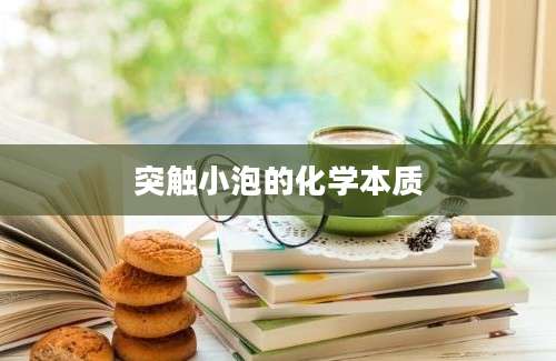 突触小泡的化学本质