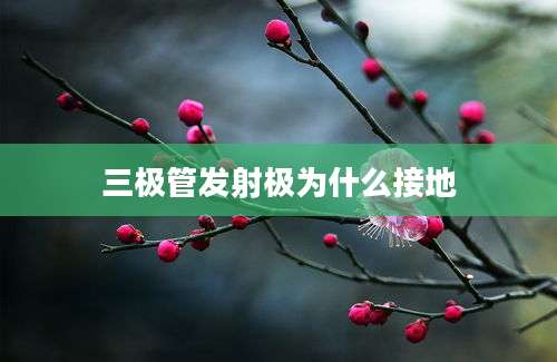 三极管发射极为什么接地