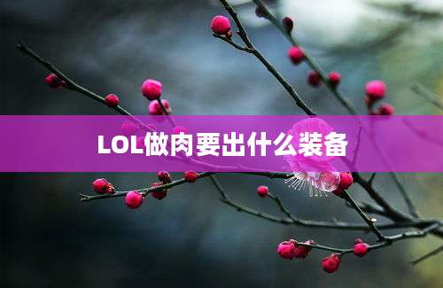 LOL做肉要出什么装备