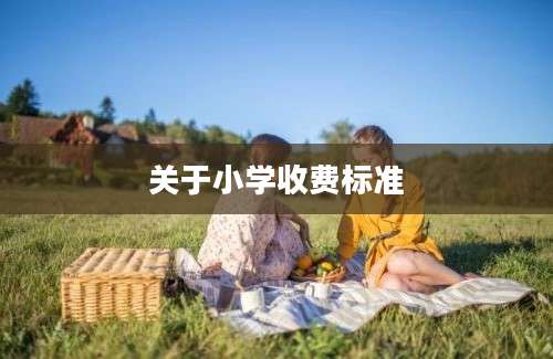 关于小学收费标准