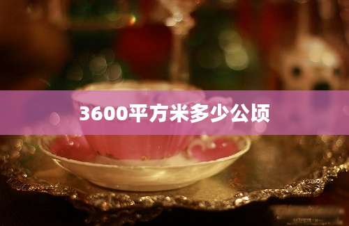 3600平方米多少公顷