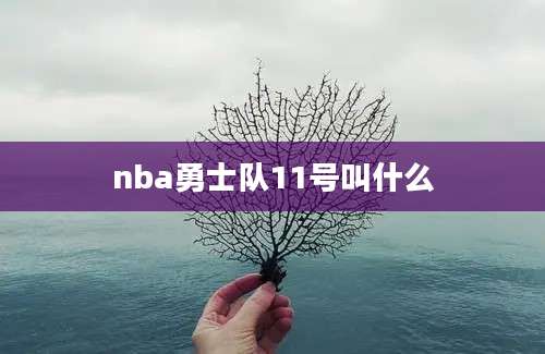 nba勇士队11号叫什么