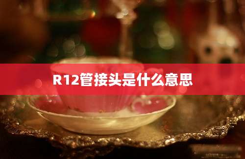 R12管接头是什么意思