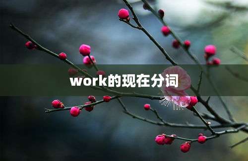 work的现在分词