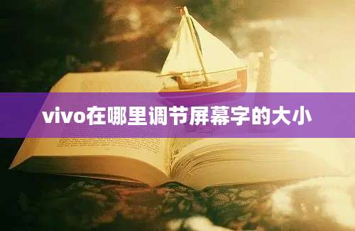 vivo在哪里调节屏幕字的大小