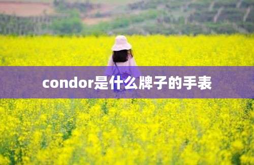 condor是什么牌子的手表