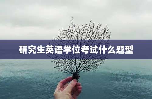 研究生英语学位考试什么题型