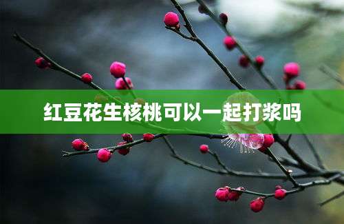 红豆花生核桃可以一起打浆吗