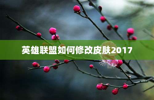 英雄联盟如何修改皮肤2017