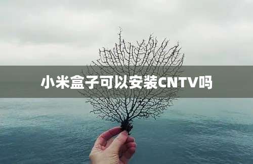 小米盒子可以安装CNTV吗