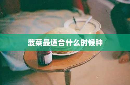 菠菜最适合什么时候种