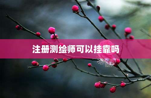 注册测绘师可以挂靠吗