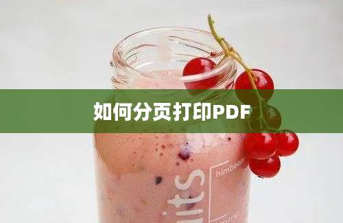 如何分页打印PDF