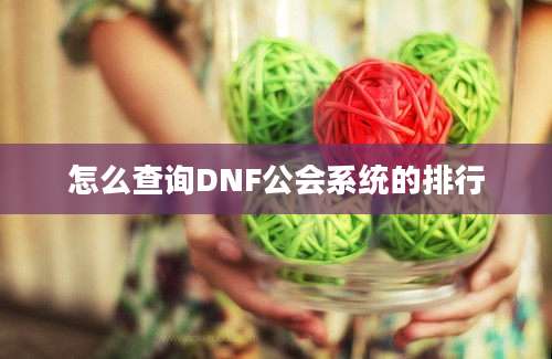 怎么查询DNF公会系统的排行