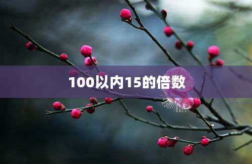 100以内15的倍数