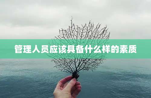 管理人员应该具备什么样的素质