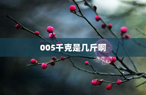 005千克是几斤啊