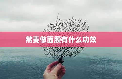 燕麦做面膜有什么功效