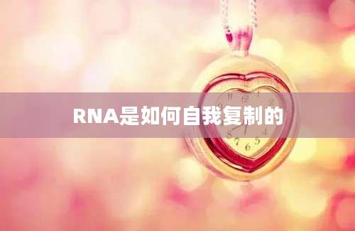 RNA是如何自我复制的