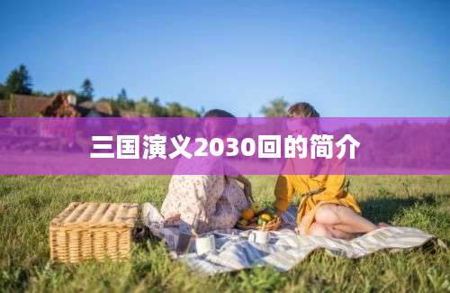 三国演义2030回的简介