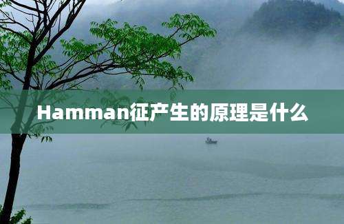 Hamman征产生的原理是什么