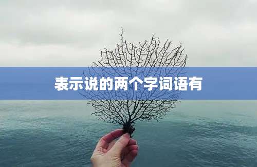 表示说的两个字词语有