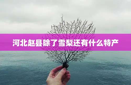 河北赵县除了雪梨还有什么特产