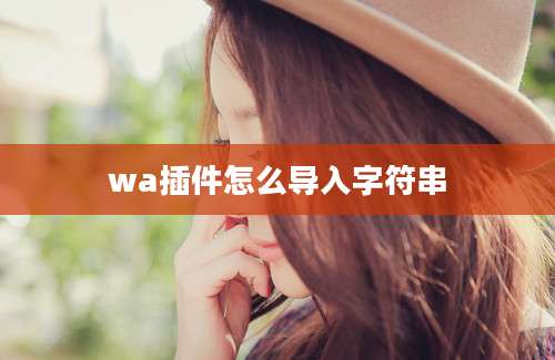 wa插件怎么导入字符串