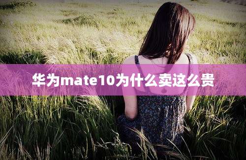 华为mate10为什么卖这么贵