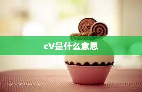 cV是什么意思