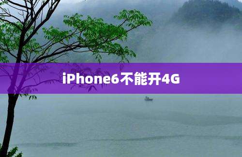 iPhone6不能开4G