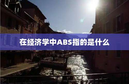 在经济学中ABS指的是什么