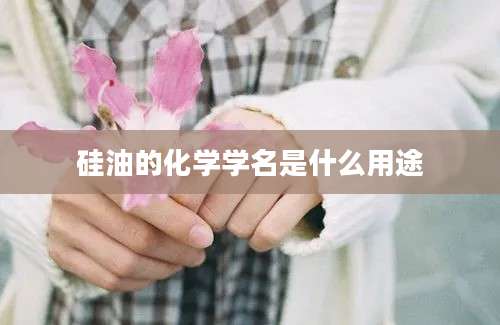 硅油的化学学名是什么用途