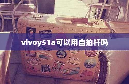 vivoy51a可以用自拍杆吗