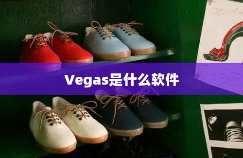 Vegas是什么软件