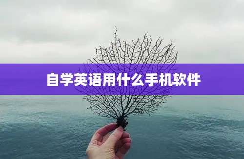 自学英语用什么手机软件