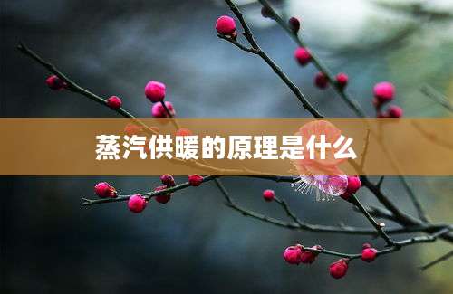 蒸汽供暖的原理是什么