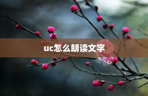 uc怎么朗读文字