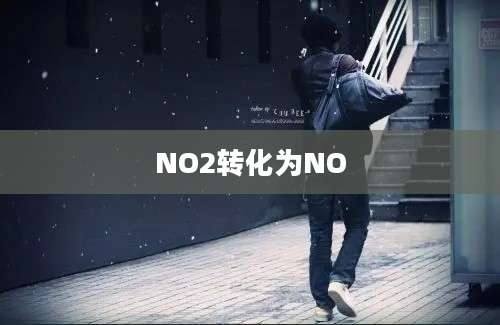 NO2转化为NO