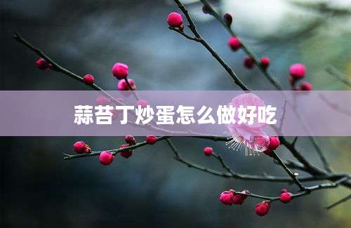 蒜苔丁炒蛋怎么做好吃