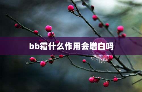 bb霜什么作用会增白吗