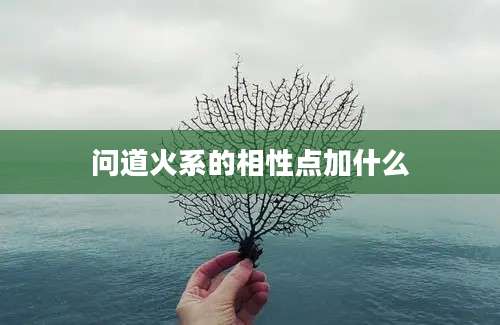 问道火系的相性点加什么