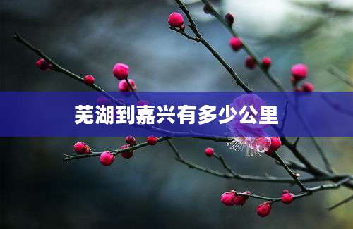 芜湖到嘉兴有多少公里