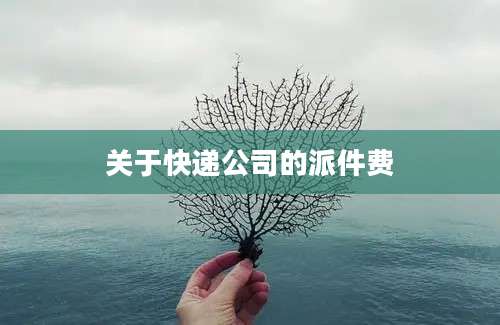 关于快递公司的派件费