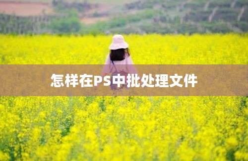 怎样在PS中批处理文件