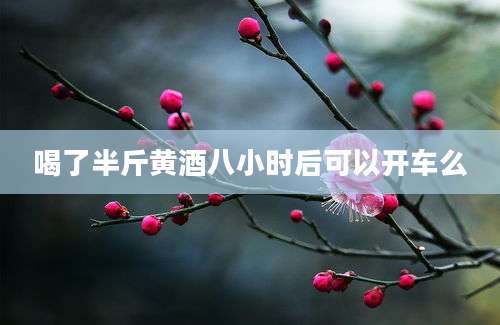 喝了半斤黄酒八小时后可以开车么