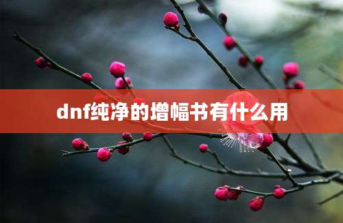 dnf纯净的增幅书有什么用