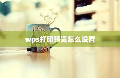 wps打印预览怎么设置